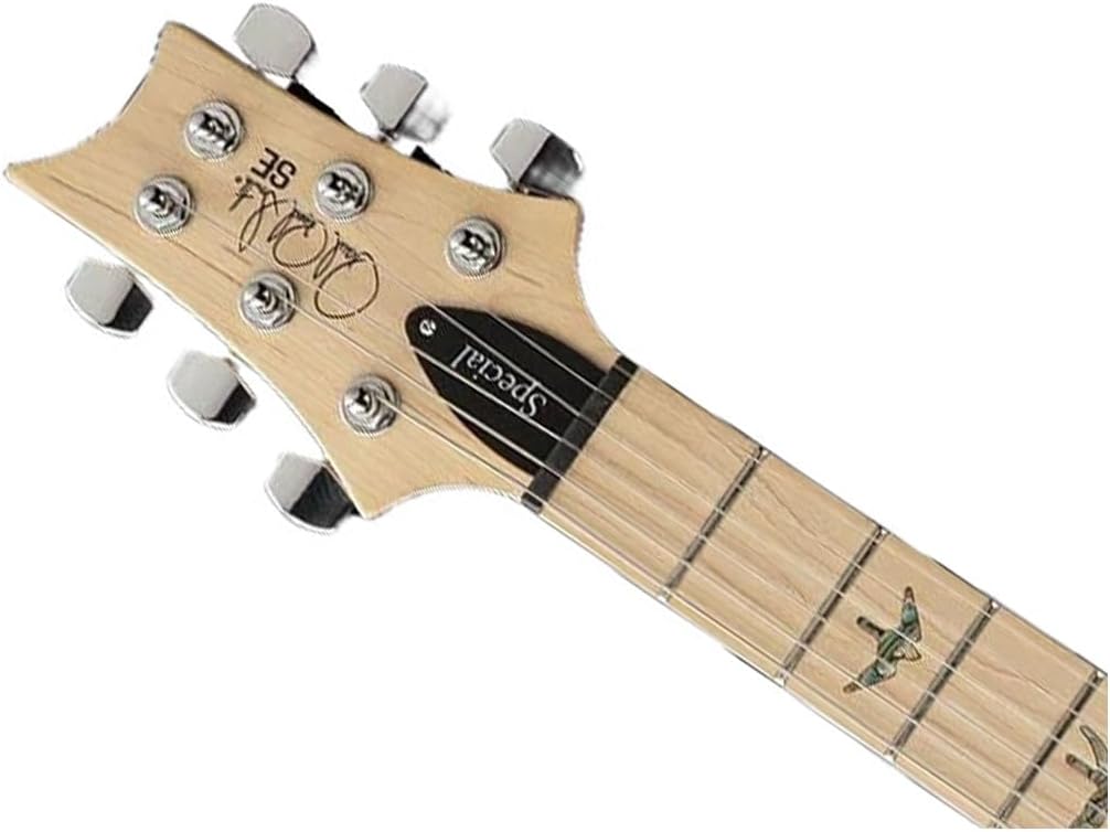 PRS SE Swamp Ash Special Electric Guitar - Charcoal