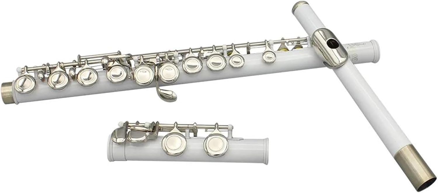 Adult Beginner Flute 16 Hole Closed C Major Flute With E Key Professional Musical Instrument
