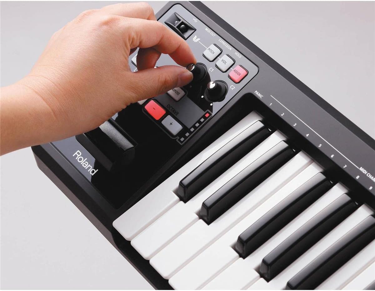 Roland Lightweight 49-Key MIDI Keyboard Controller, black (A-49-BK)