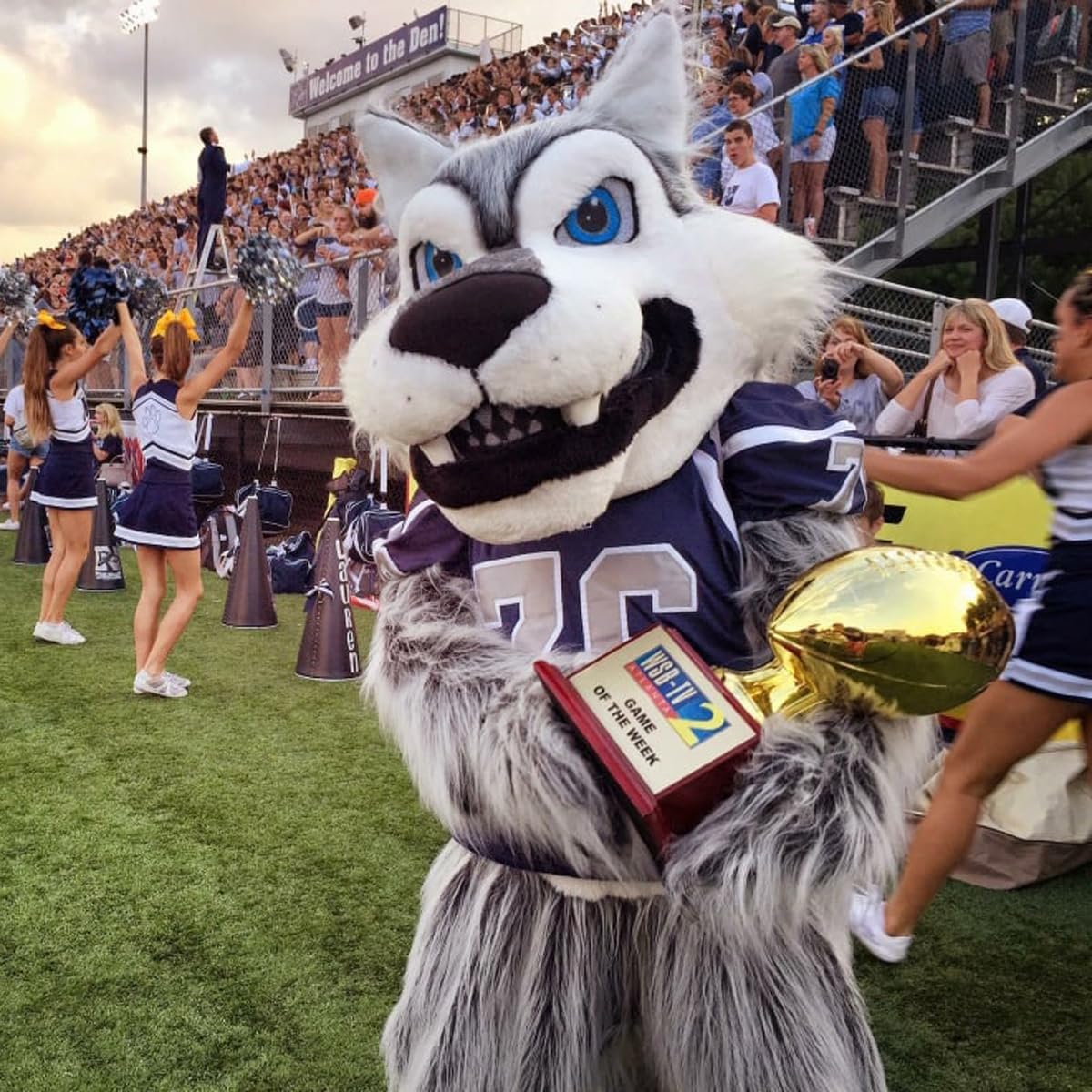 TCDesignerProducts Gray Wolf Mascot Costume - Quick Ship, School Spirit Sports Fan Gear, Football Cheerleader Accessories, Homecoming