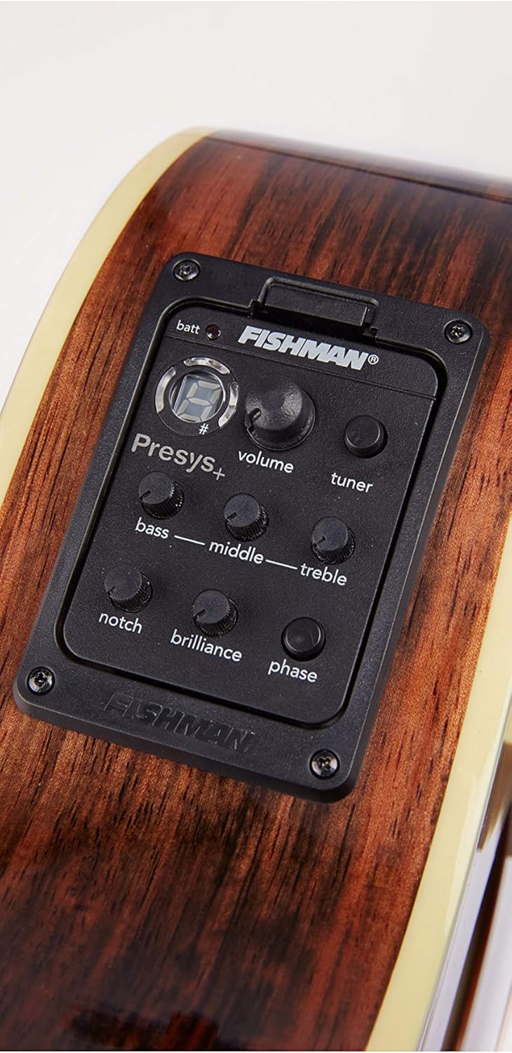 D'Angelico 6 String Acoustic-Electric Guitar, Right (DAED500AUBGP)