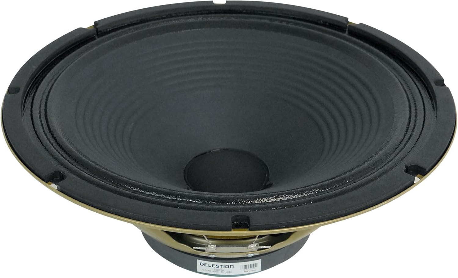 Audiosavings Bundle: (2) Celestion V-Type 12