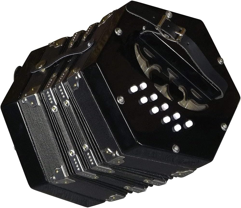 20 Buttons Concertina, Easy To Learn Music Accordion Instrument, Professional Accordion Piano Musical Instrument, For Children Friends