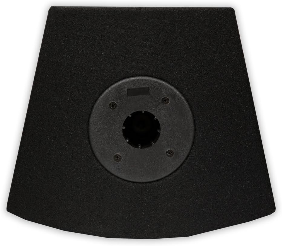 Acoustic Audio by Goldwood Live Sound Monitor (PA-365X) , Black