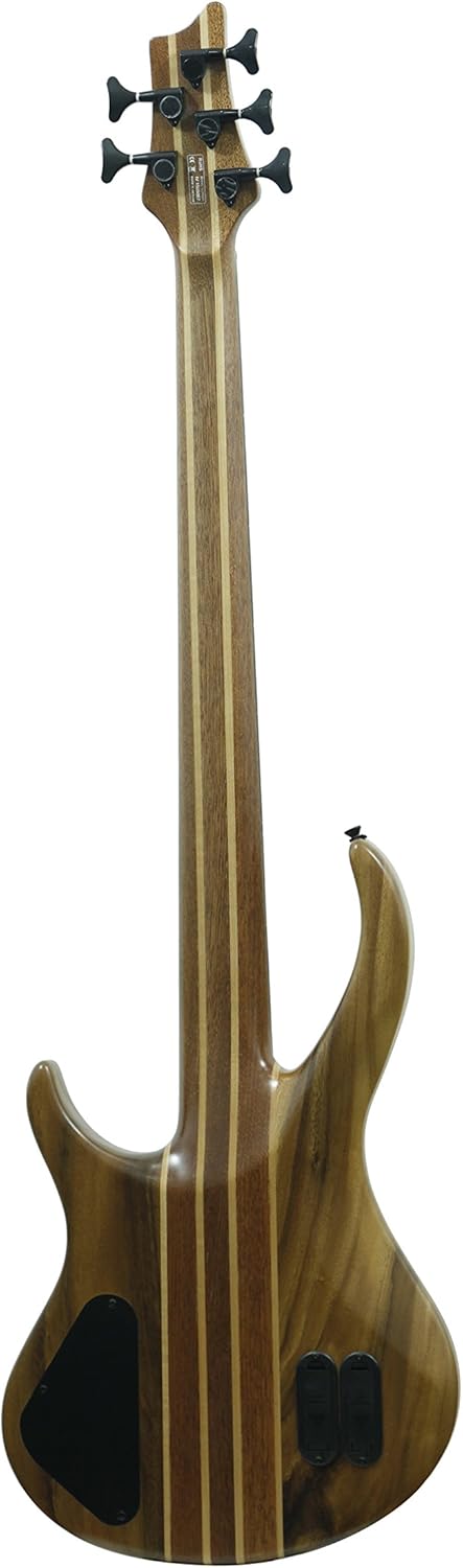 IYV 5 String IBW-550 Bass Solid-Body Electric Guitar, Natural