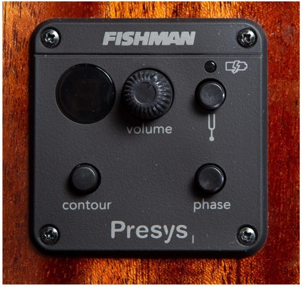 Breedlove ECO Discovery S Parlor Concertina CE Acoustic-Electric Guitar - Edgeburst Red Cedar/African Mahogany