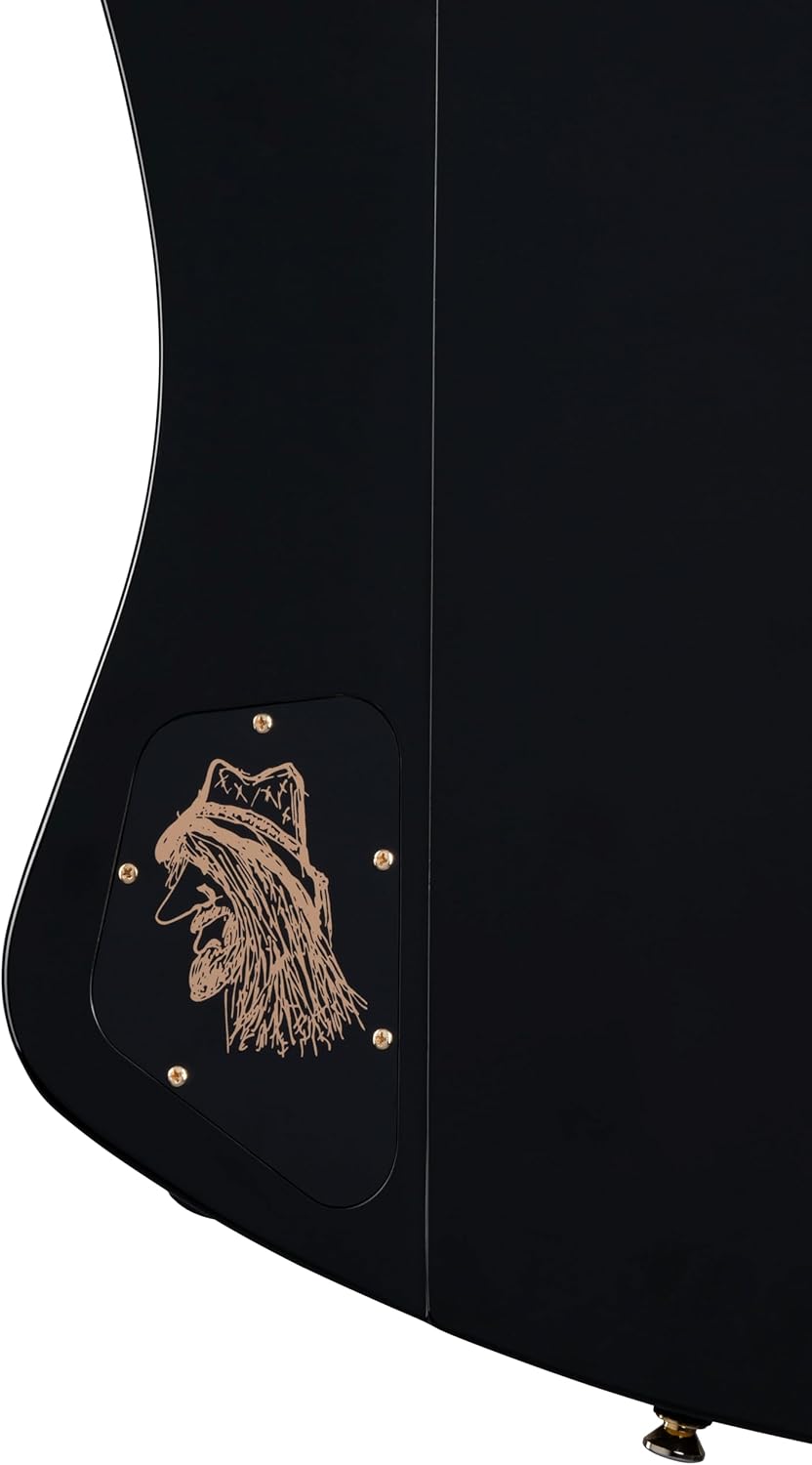 Epiphone Inspired by Gibson Rex Brown Thunderbird Bass, Ebony with Case