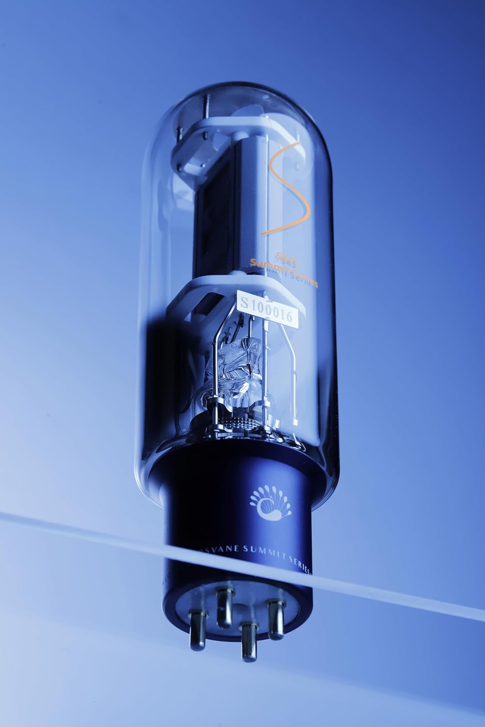 PSVANE Summit Series 845 Vacuum Tube Tubes for Amplifiers Matched Pair (2 Pack)