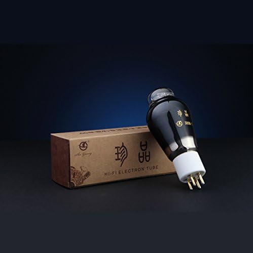 Treasure 300B-Z Vacuum Tube Matched Pair (2pcs) - Silver - Glass - Instrument Amplifier Tubes - Vacuum Tube - Physical Items