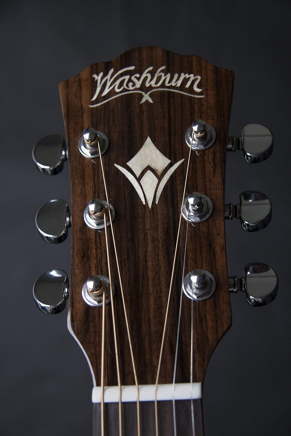 Other 6 String Acoustic-Electric Guitar, Right, Natural (WCG20SCE-O)