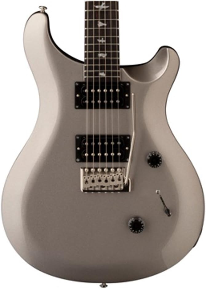 Paul Reed Smith Guitars ST24PT-Kit01 PRS SE Standard 24 Platinum Electric Guitar