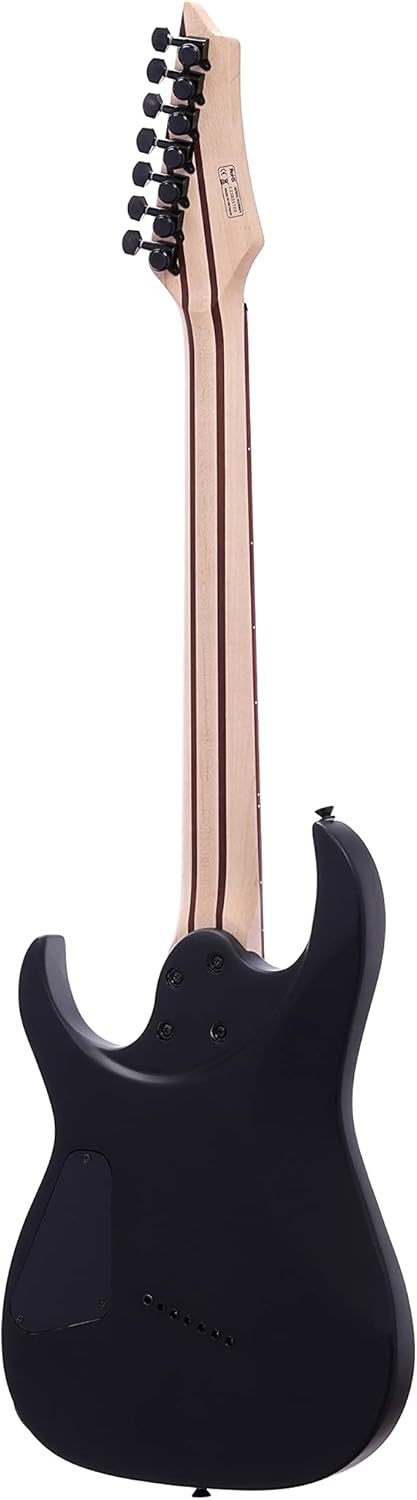 IYV- ISFF7-400 Solid Body with Burl Maple Top Electric Guitar, Charcoal Sunburst