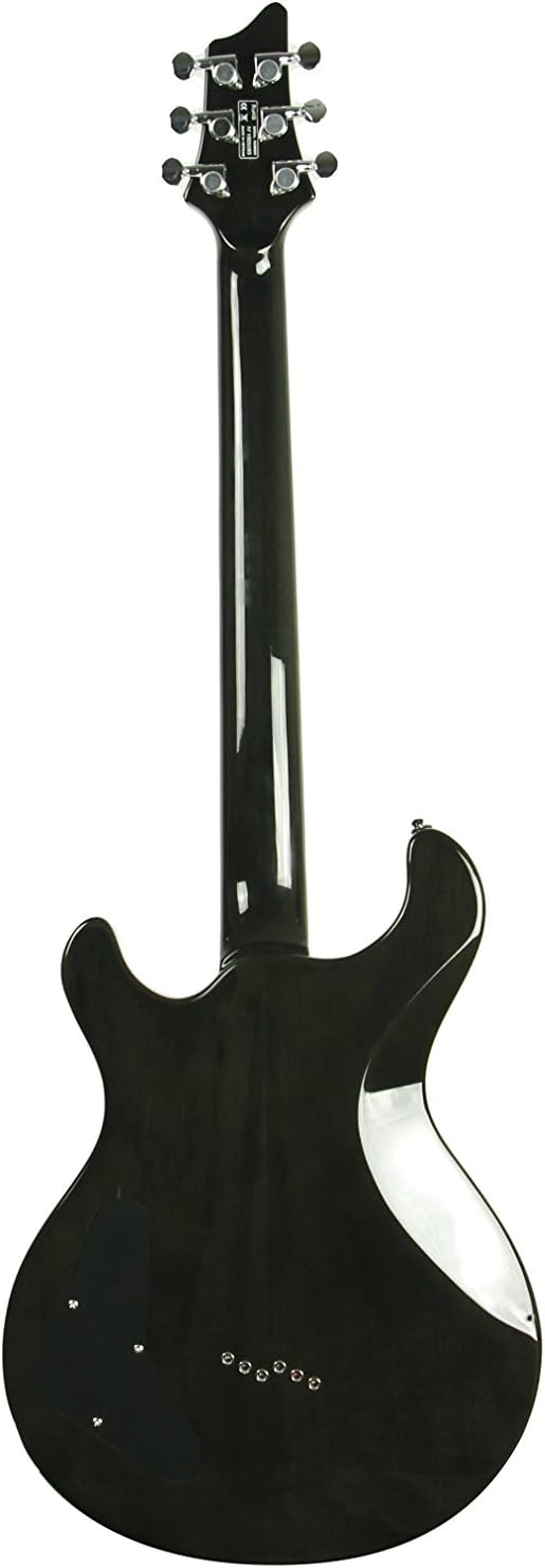 IYV 6 String IP-350 TBK PRS Solid-Body Electric Guitar, Trans Black