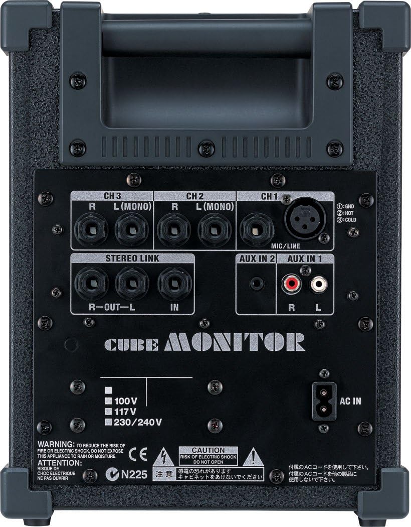 Roland Cube Monitor/PA