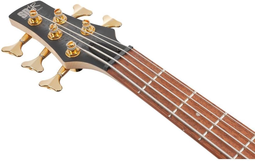 Ibanez SR Standard 5-string Electric Bass - Black Ice Frozen Matte