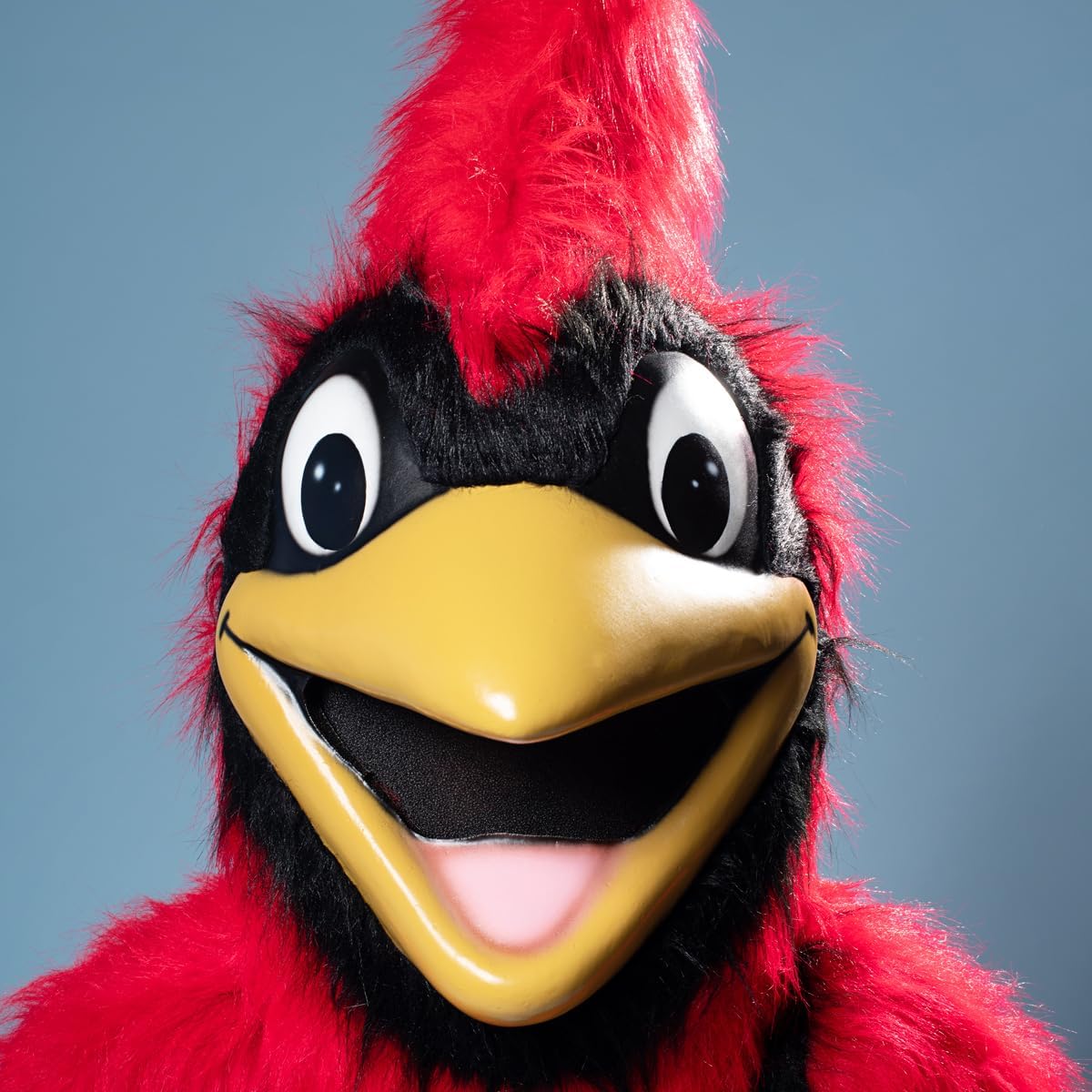 TCDesignerProducts Friendly Red Cardinal Mascot Costume, School Spirit Sports Fan Gear, Football Cheerleader Accessories, Homecoming