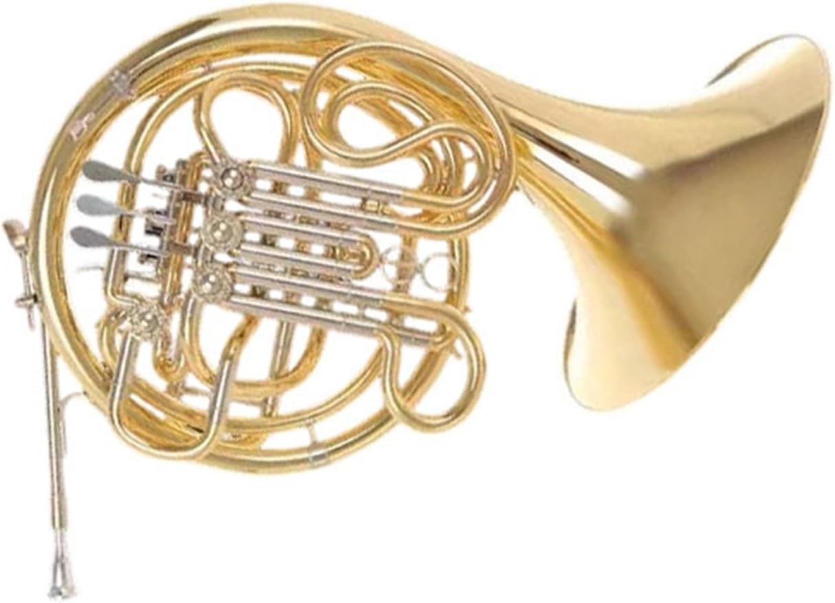 4 Key French Horn Double Row Four Key French Horn Instrument B Flat F Playing Practice(1)