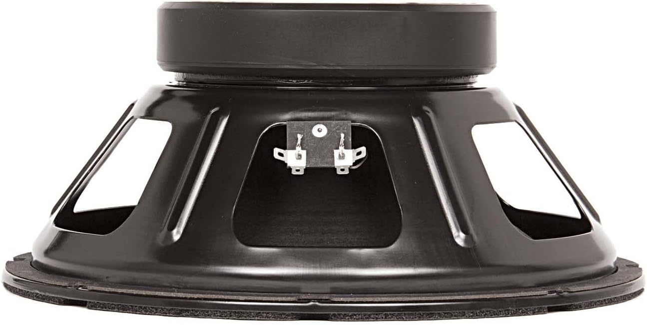 Eminence Patriot Ragin Cajun 10