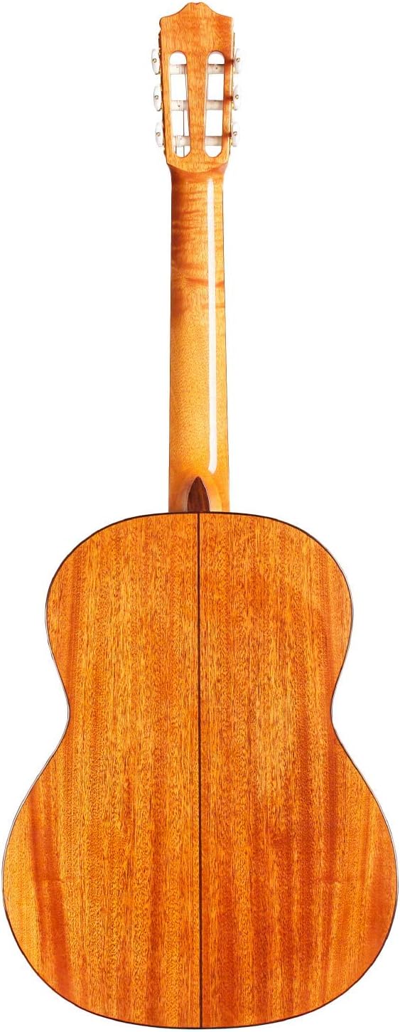 Cordoba C5 CD Lefty Classical Acoustic Nylon String Guitar, Iberia Series