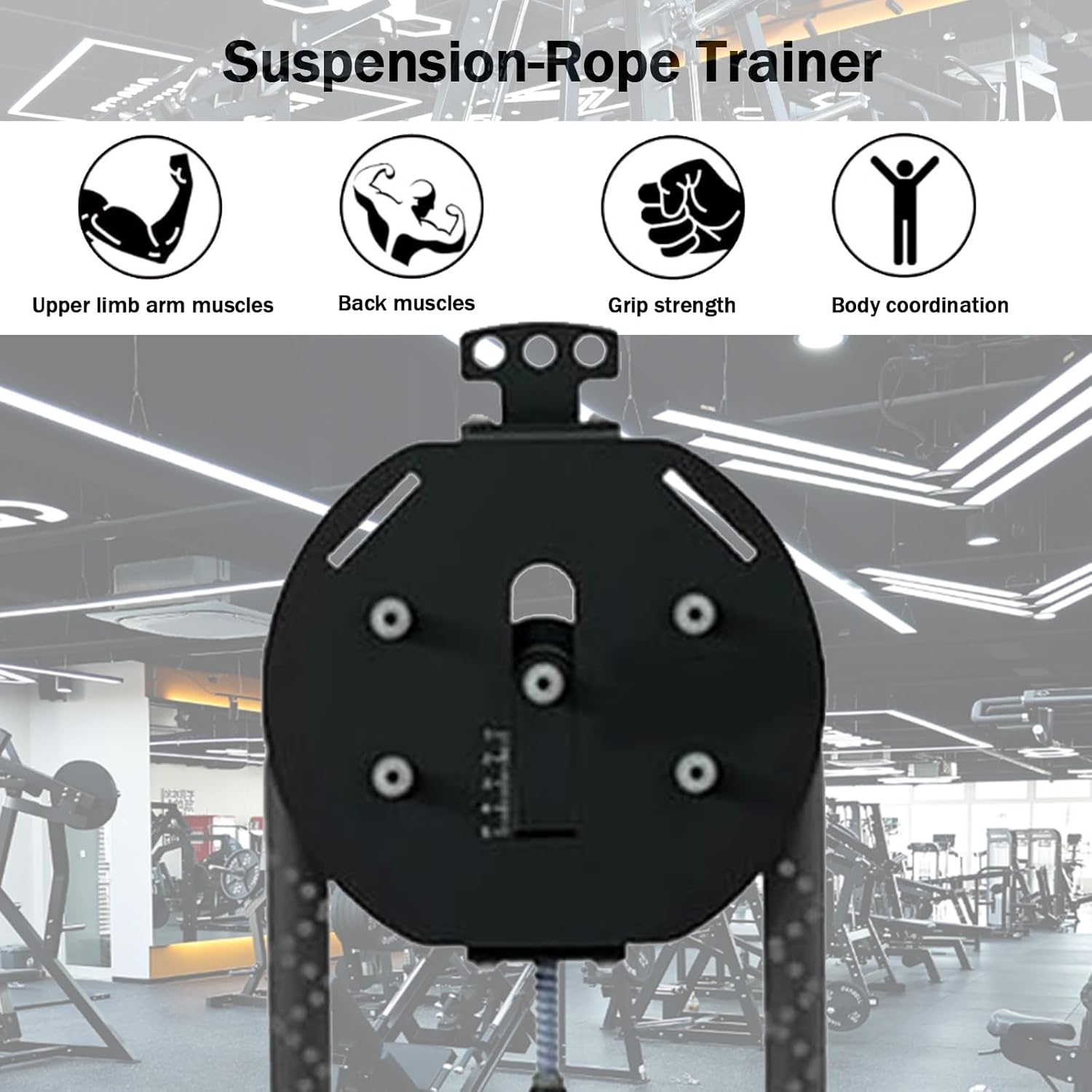 Mounted Endless Rope Pulley System, Steel Drum Mounts on Upright, Closed-Loop Nylon Rope, Home Gym Infinity Rope for Interval Resistance Training