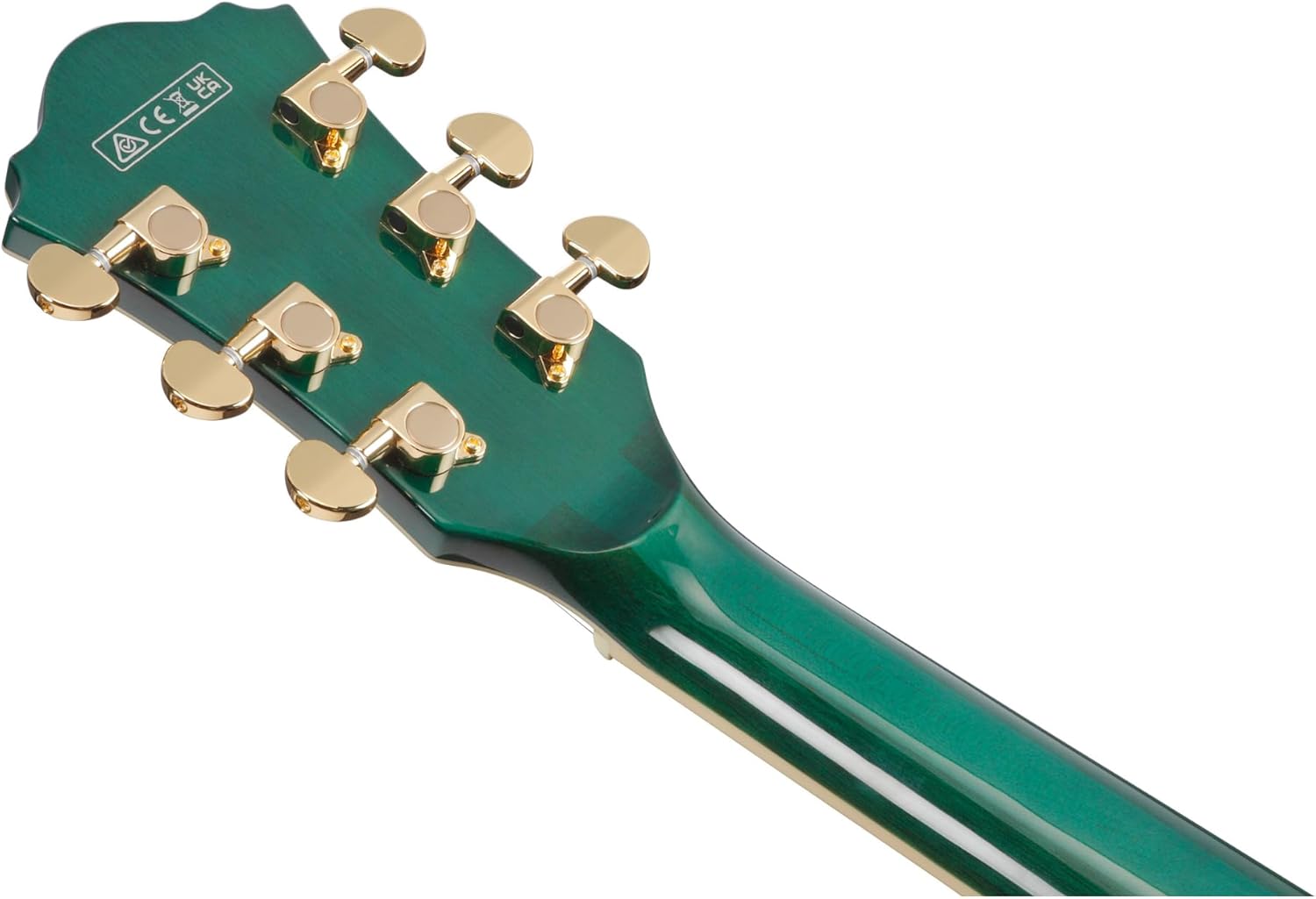 Ibanez AS93FM Artcore Expressionist 6-String Right-Handed Electric Guitar with Flamed Maple Body and Macassar Ebony Fingerboard (Transparent Moss Green)