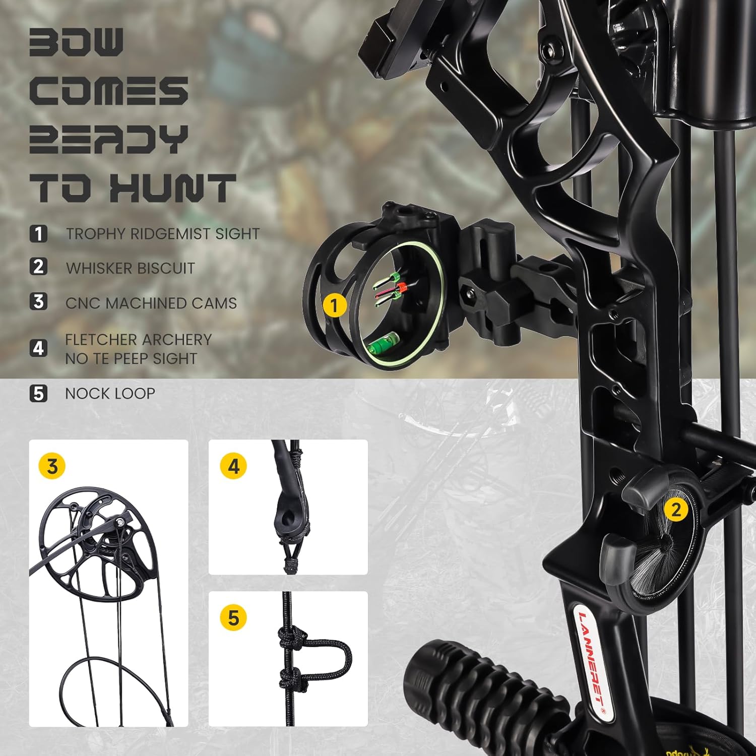 Archery Eagle Compound Bow and Archery Sets 20-70lbs for Adults and Teens,25