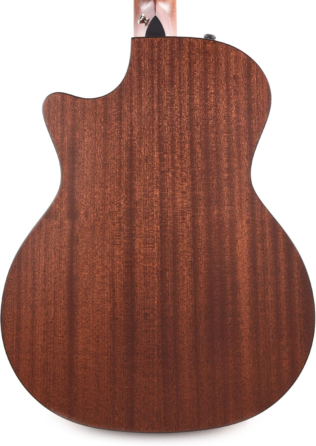 Taylor 314ce-N - Sapele Back and Sides