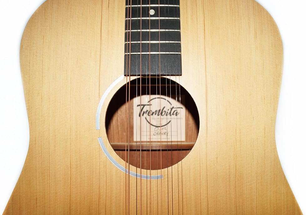 Ukrainian 12 Strings Acoustic Guitar, Trembita made in Ukraine, Rare Musical Instrument, Natural Wood. Excellent Sound, Steel Strings