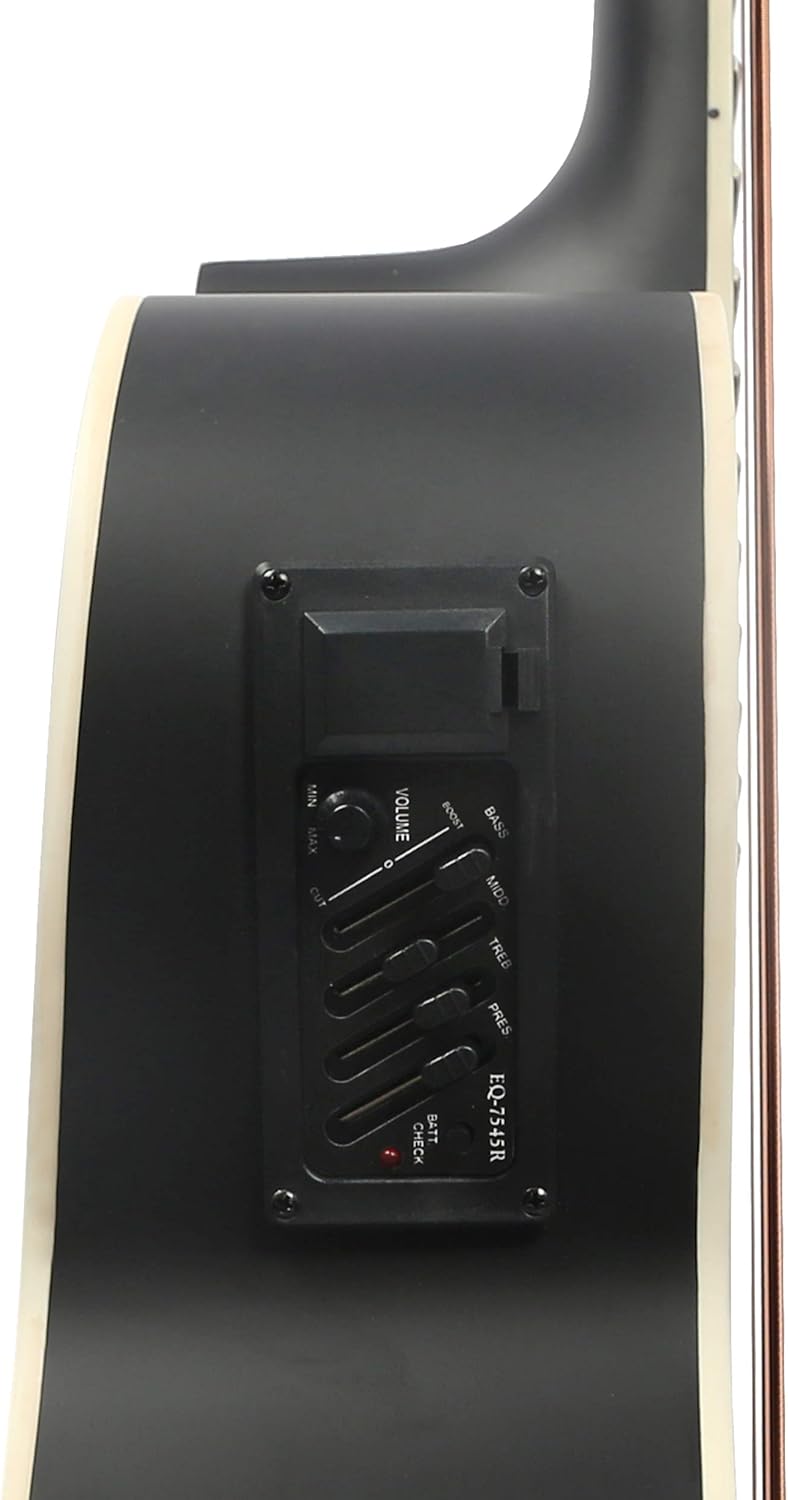 12 string Guitar 12 String Acoustic-Electric Guitar,Cutaway Guitar,Bundle with Gig Bag,Tuner,Strings,Strap, Picks