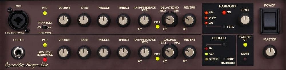 Boss ACS Live 60W Combo Amplifier for Acoustic Guitar and Vocals