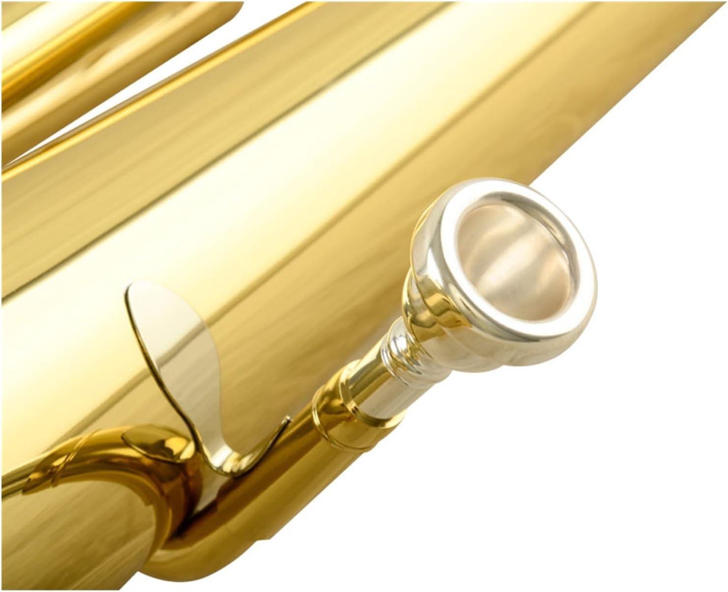 B flat 3 key Euphonium Beginner Professional Playing Instrument