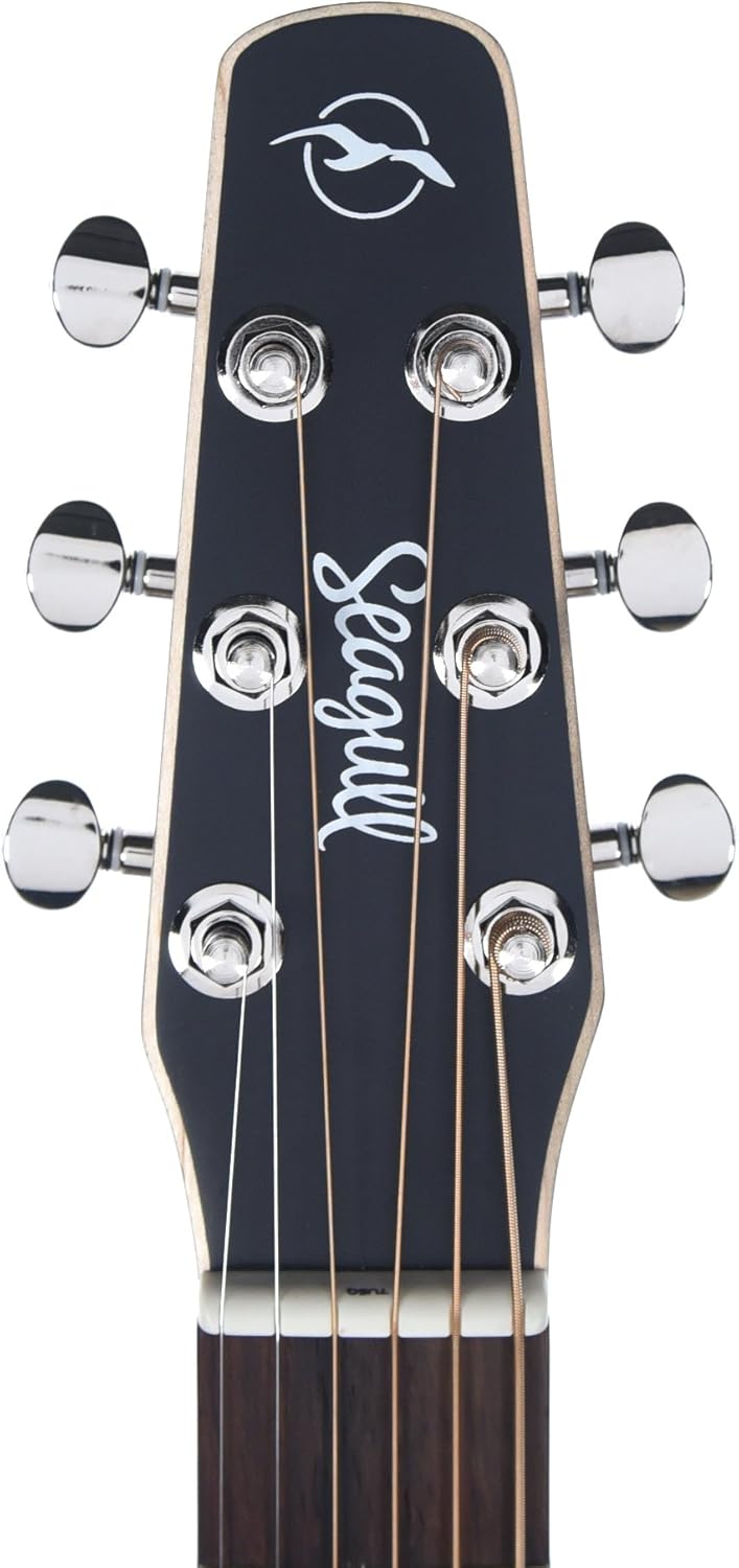 S6+ GT Acoustic Guitar