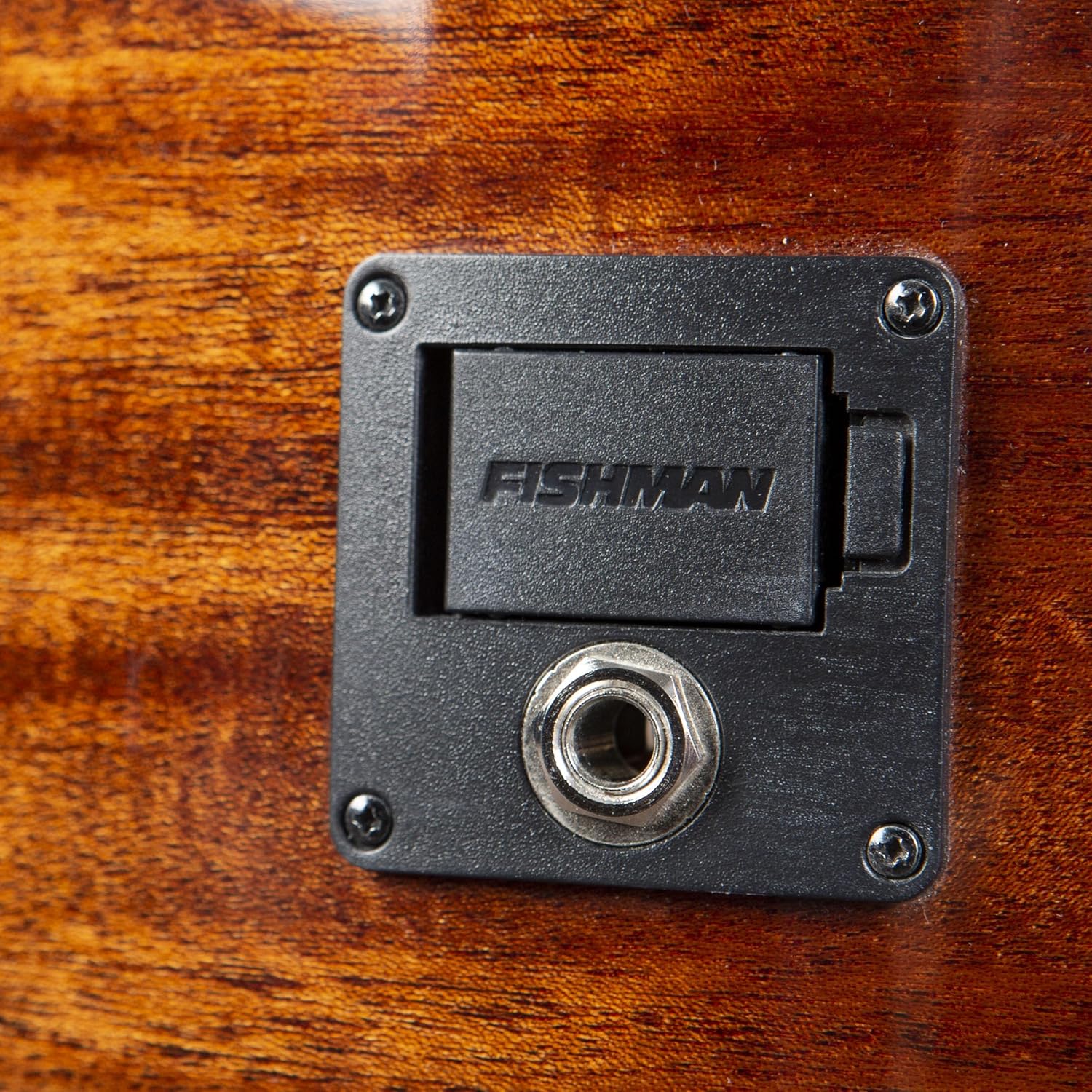 Breedlove Discovery S Concert Edgeburst 12 String CE European-African mahogany Acoustic Guitar