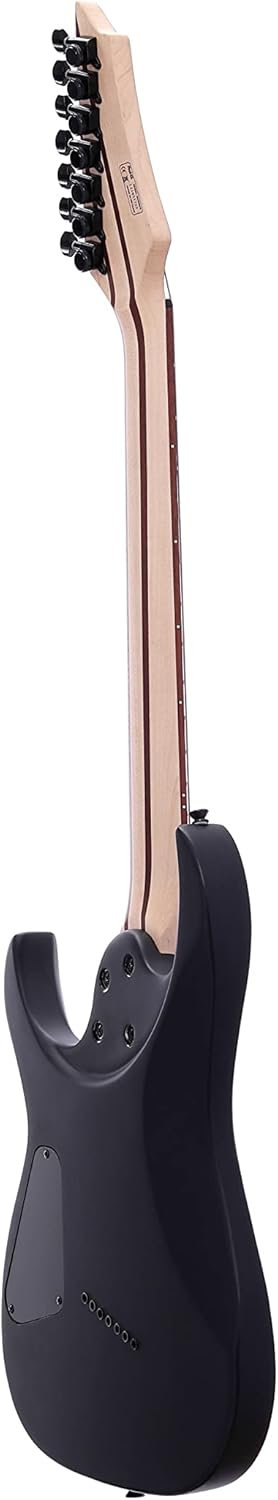 IYV- ISFF7-400 Solid Body with Burl Maple Top Electric Guitar, Charcoal Sunburst