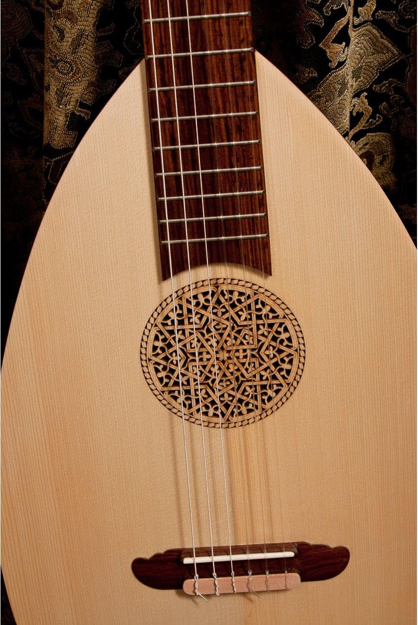 Lute-Guitar, 6 String, Variegated, Gears