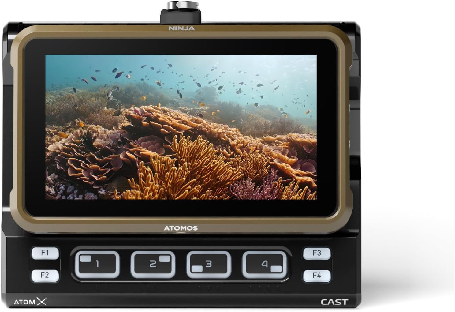 Atomos Ninja 5.2 Touchscreen HDR Monitor-Recorder - 4K Video Recording and Editing Solution - 5.2-inch Display Bundle 5-Inch Accessory Kit (2 Items)