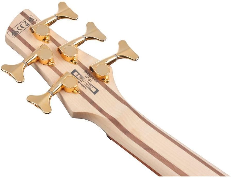 Ibanez SR Standard 5-string Electric Bass - Black Ice Frozen Matte