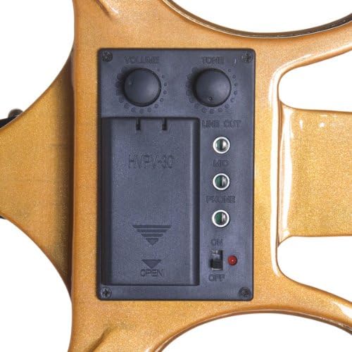 Cecilio 4/4 Full Size Electric Silent Violin, Hand-Carved Solid Maple Wood, Complete Set with Case & Ebony Fittings, Ideal for Practice, Stage & Studio Use, Yellow Maple Metallic