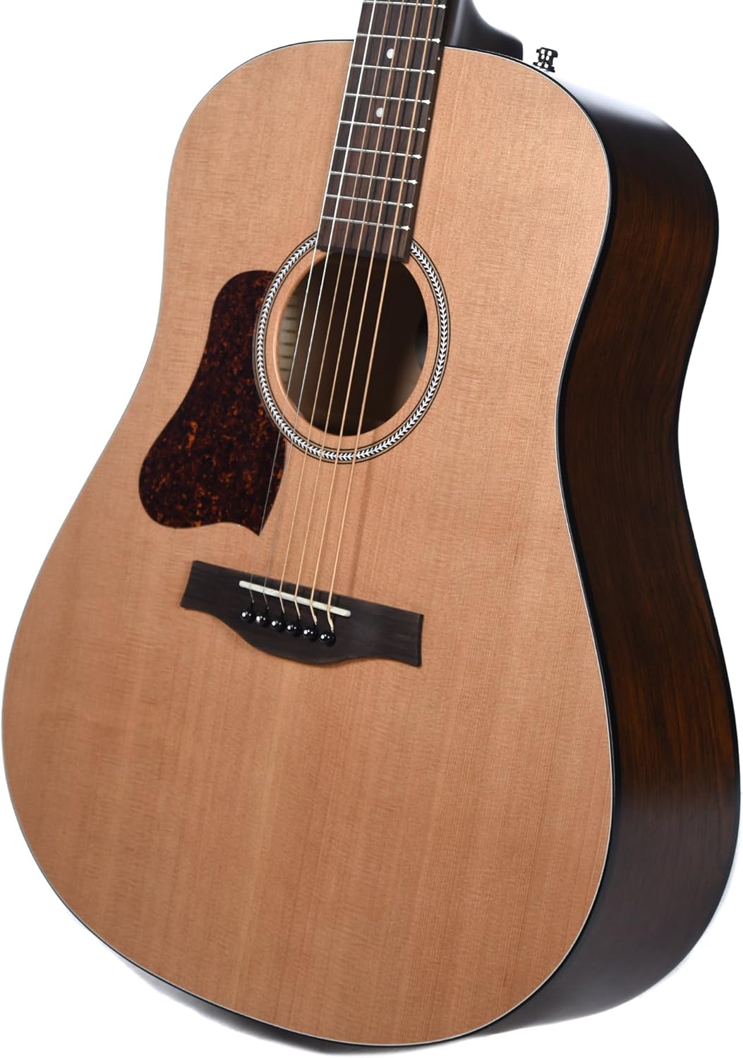 S6+ GT Acoustic Guitar