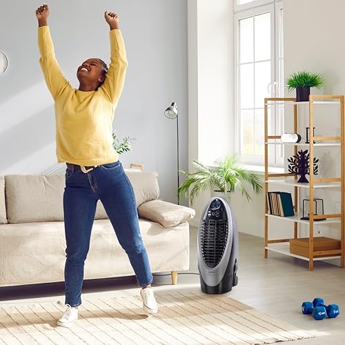 Honeywell 300 CFM Indoor Portable Evaporative Cooler, Fan & Humidifier with Detachable Tank, Carbon Dust Filter & Remote Control, Silver/Gray