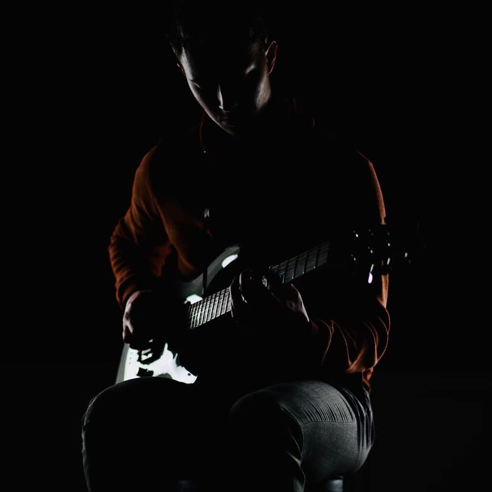 Ibanez RG421 Electric Guitar - Mahogany Oil