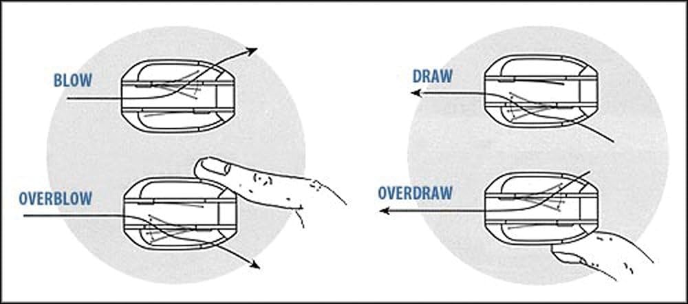 Suzuki Harmonica Overdrive-G