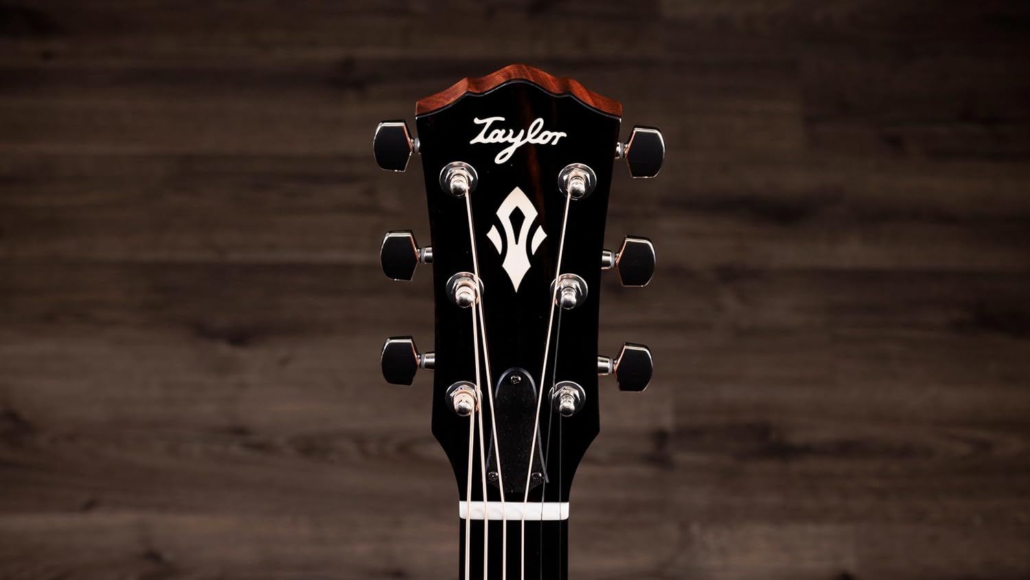 Taylor Gold Label 514e Acoustic-electric Guitar - Sunburst