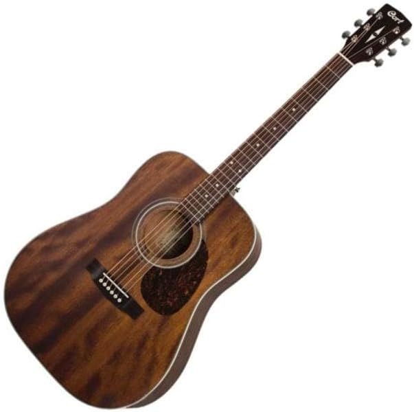FW EARTH70-MH Dreadnought RW Sld Mahogany Top