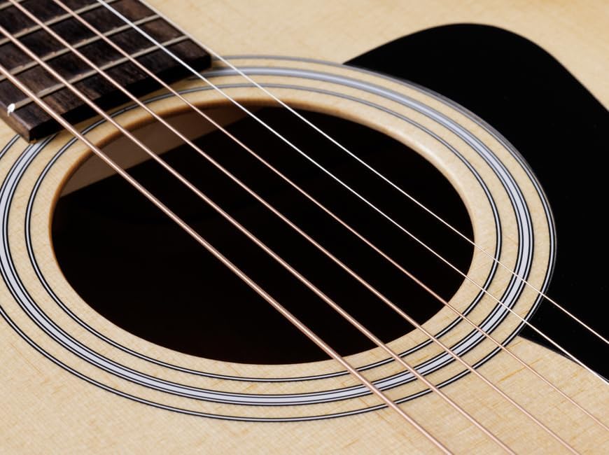 Taylor 110ce-S Dreadnought Sitka/Sapele Natural w/Gig Bag