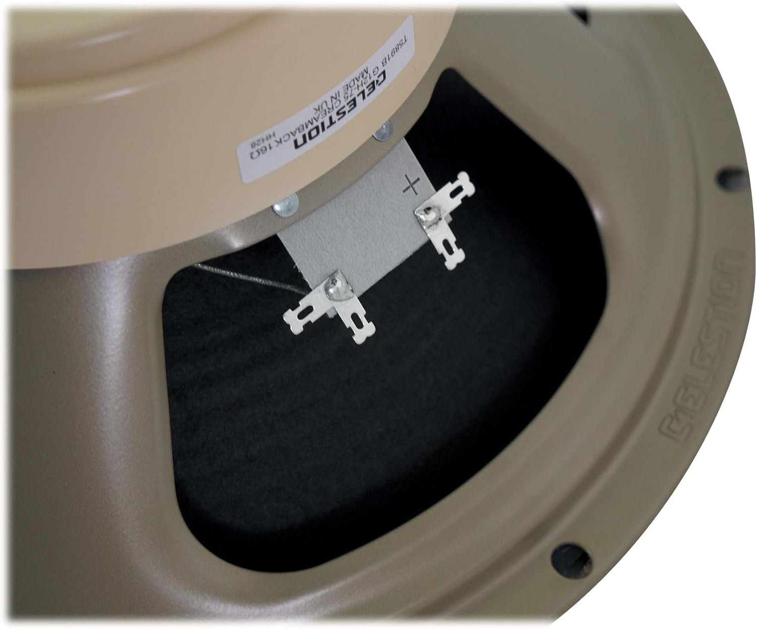 Audiosavings Bundle: (2) Celestion G12H-75 Creamback 12