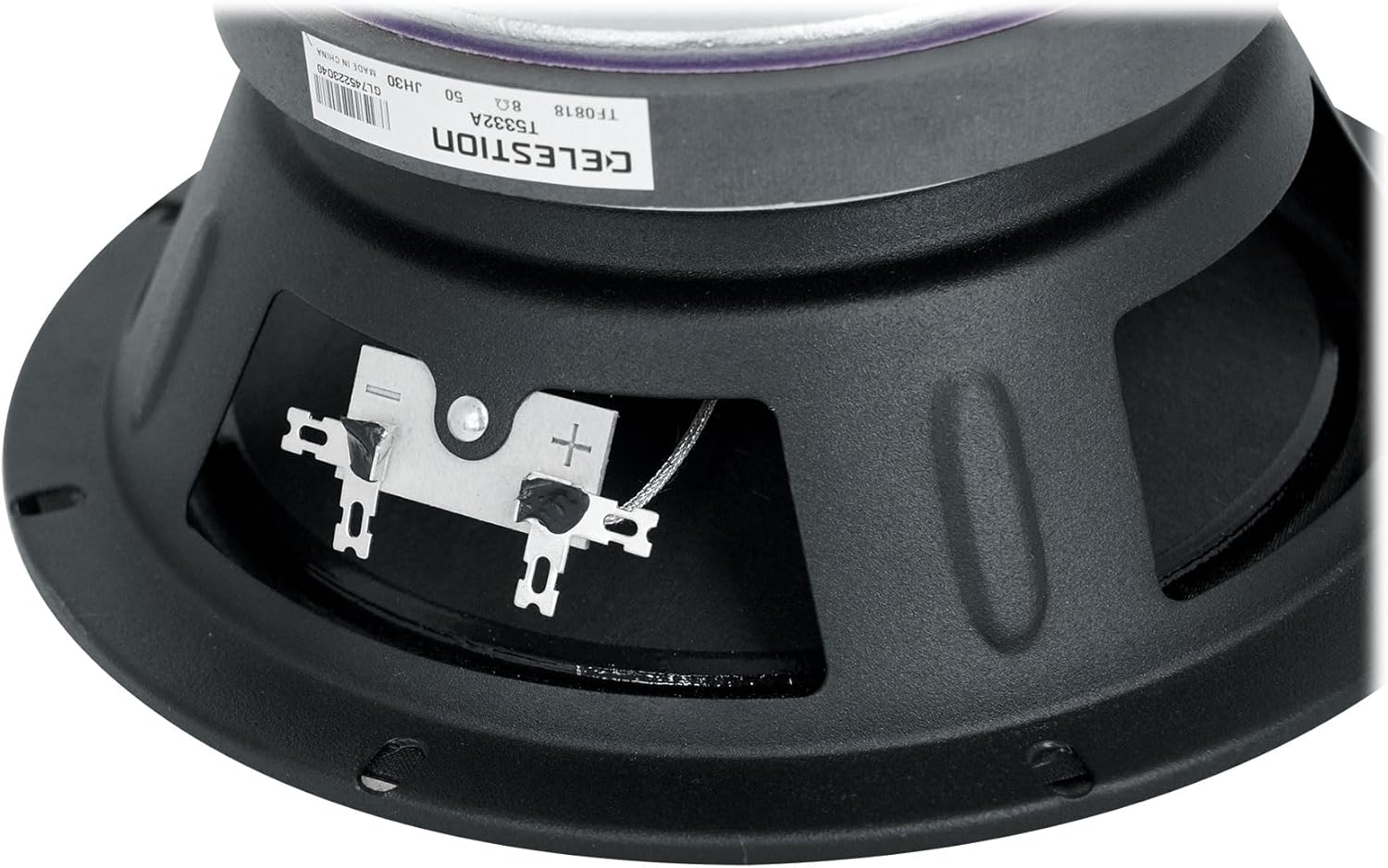 Audiosavings Bundle: (1) Celestion TF0818 200W 8