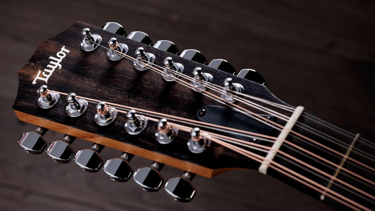 Taylor 254ce Plus 12-string Acoustic-electric Guitar