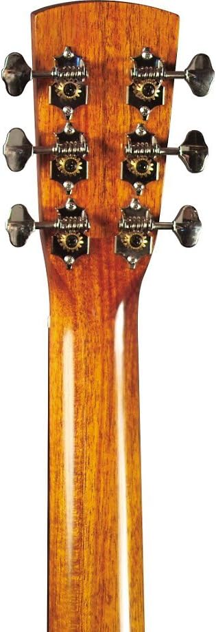 Blueridge Guitars 6 String Acoustic Guitar, Right Handed, Solid Sitka (BR-40)