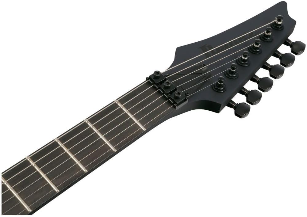 Ibanez RGRB620 Iron Label 6-String Right-Handed Electric Guitar with Nyatoh Body, Maple and Walnut Neck, and Ebony Fingerboard (Black Flat)